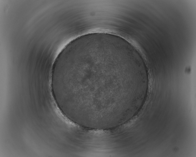 X0000111640896200907311249