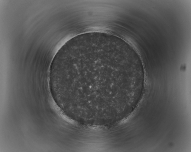 X0000111640899200907311249