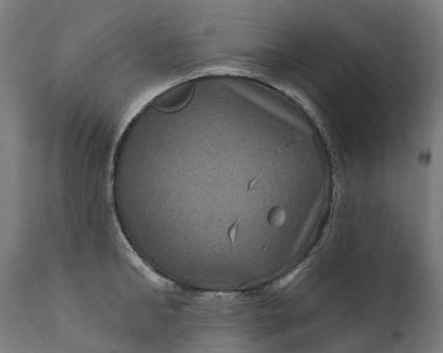 X0000111640902200907311249