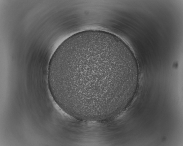 X0000111640903200907311249