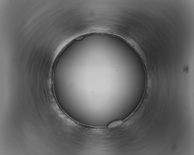 X0000111640904200907311249