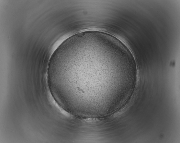 X0000111640906200907311249