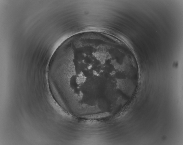 X0000111640907200907311249