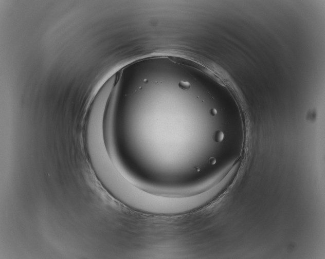 X0000111640908200907311249