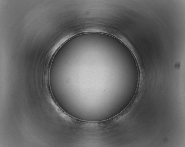 X0000111640909200907311249