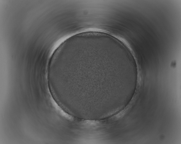 X0000111640910200907311249