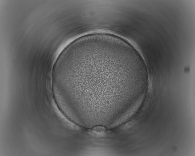 X0000111640911200907311249