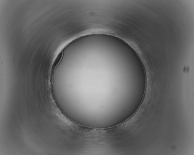 X0000111640912200907311249