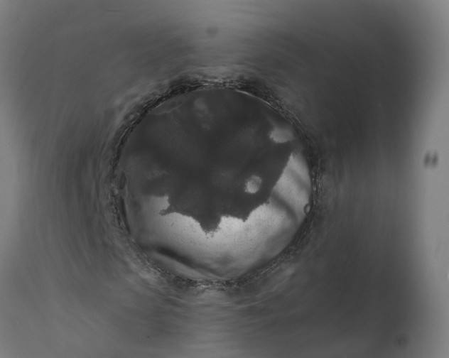 X0000111640913200907311248