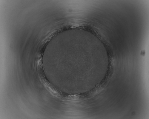 X0000111640914200907311248