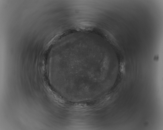 X0000111640915200907311248