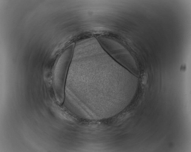 X0000111640916200907311248