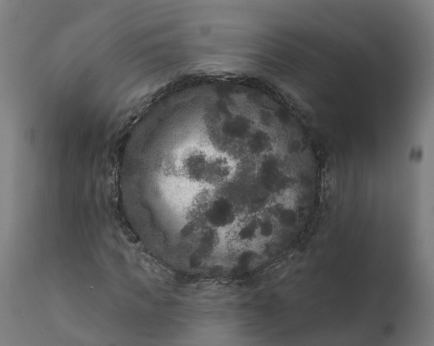 X0000111640917200907311248