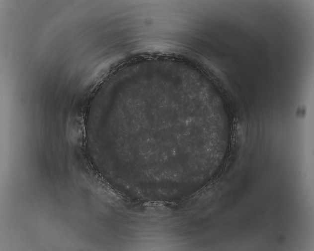 X0000111640918200907311248