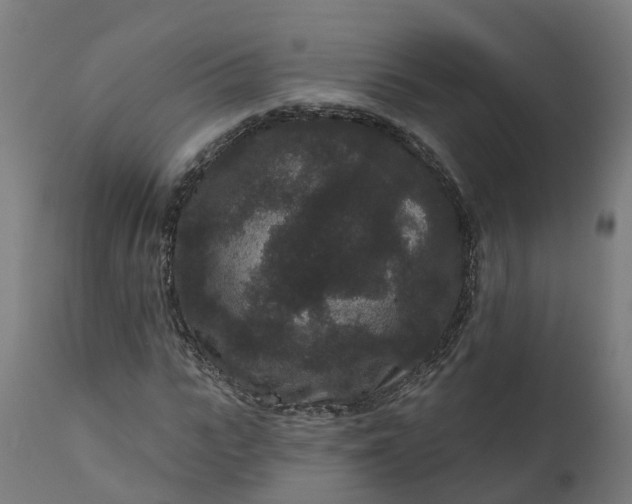 X0000111640919200907311248