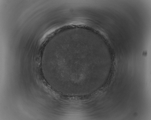 X0000111640920200907311248