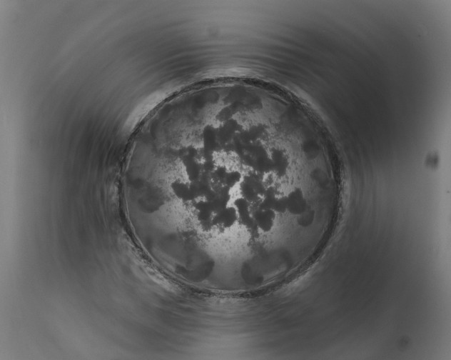 X0000111640921200907311248