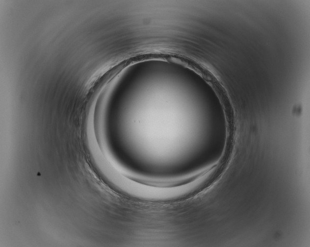 X0000111640922200907311248