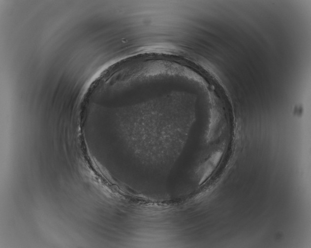 X0000111640923200907311248