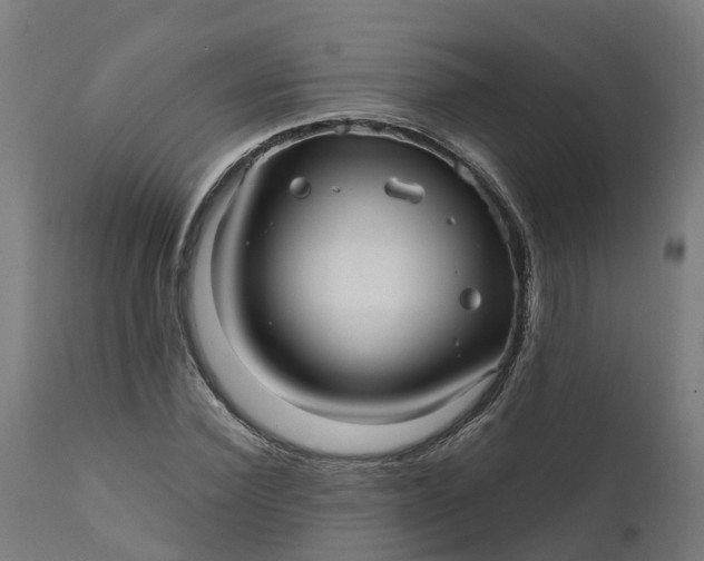 X0000111640924200907311248