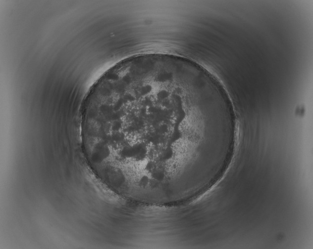 X0000111640925200907311248