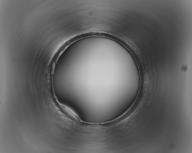 X0000111640926200907311248