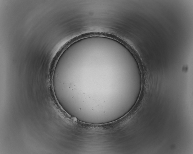 X0000111640927200907311248