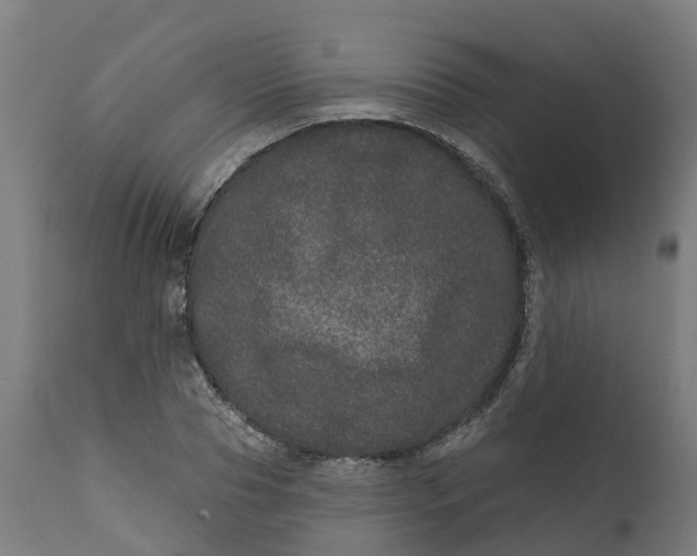 X0000111640929200907311248