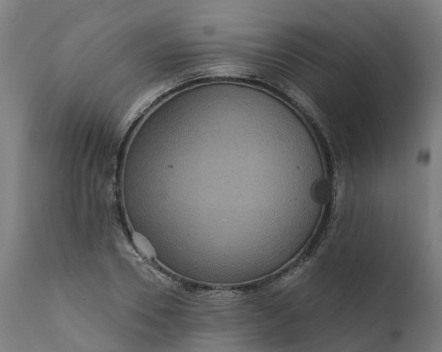 X0000111640930200907311248