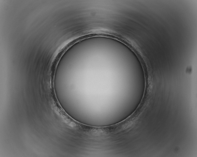 X0000111640931200907311248