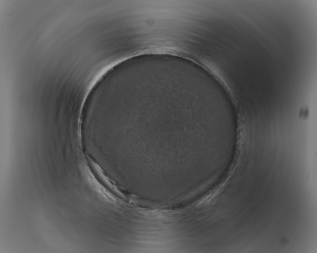 X0000111640932200907311248