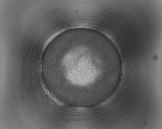 X0000111640933200907311248