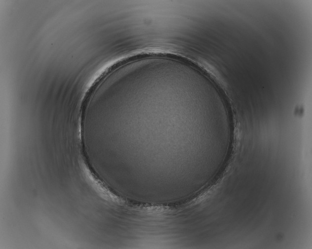 X0000111640934200907311248