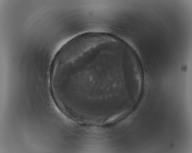 X0000111640935200907311248