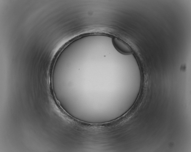 X0000111640936200907311248