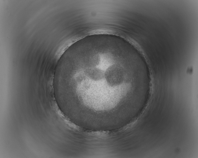 X0000111640937200907311248