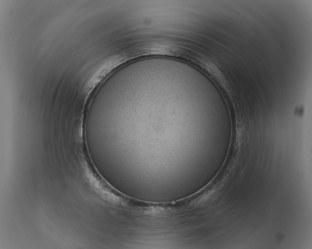 X0000111640938200907311248