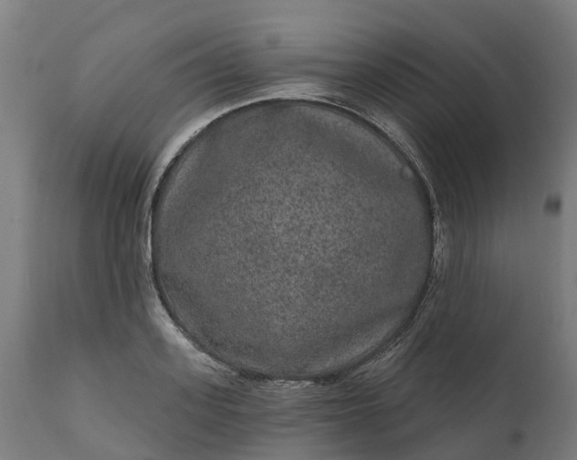 X0000111640939200907311248