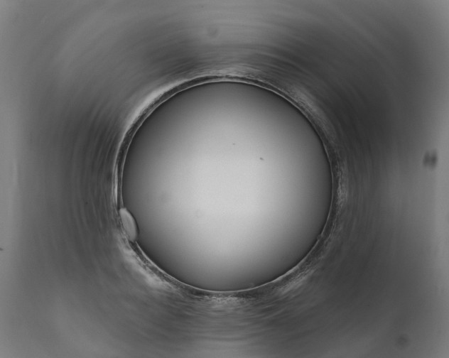 X0000111640940200907311248