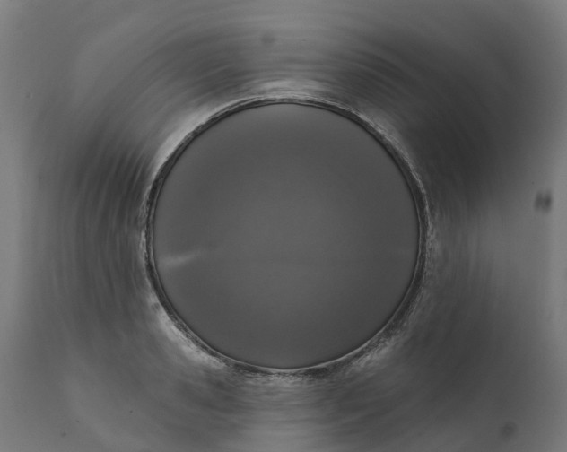 X0000111640941200907311248