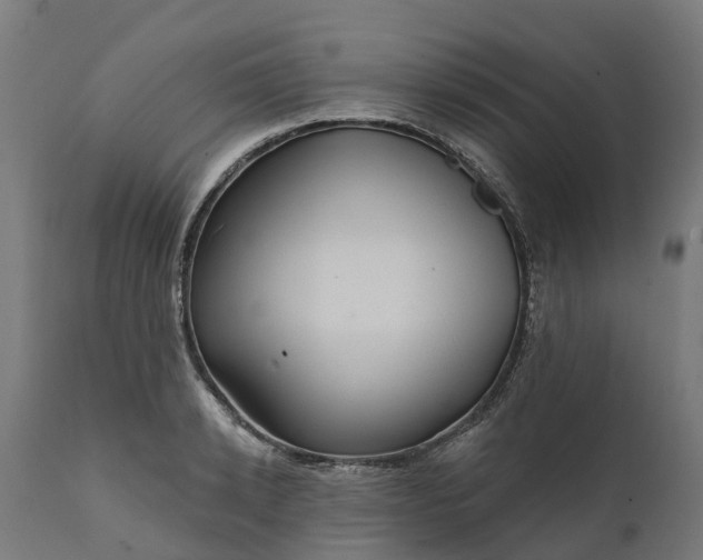 X0000111640942200907311248