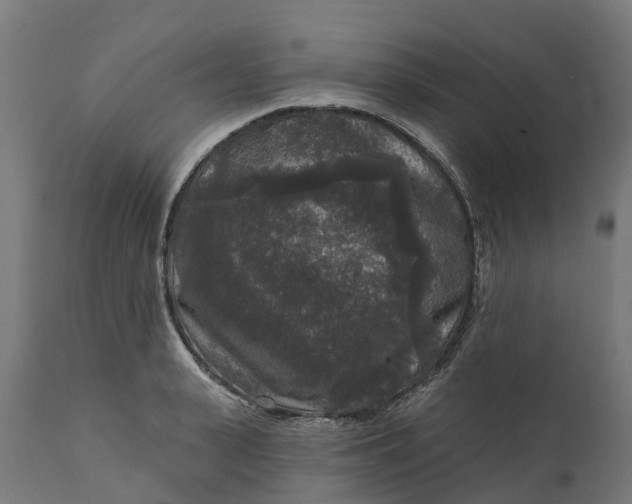 X0000111640943200907311248