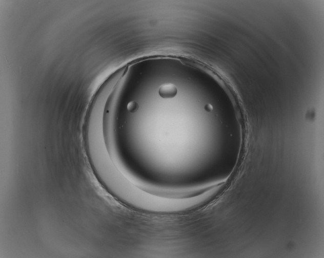 X0000111640944200907311248