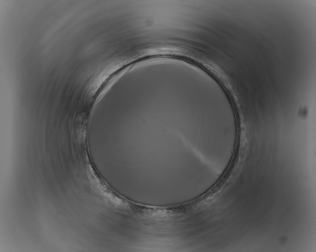 X0000111640945200907311248