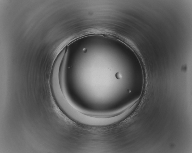 X0000111640946200907311248