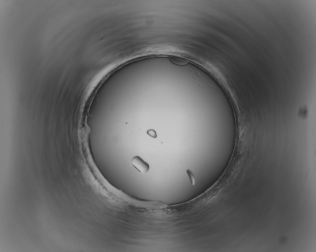 X0000111640947200907311248