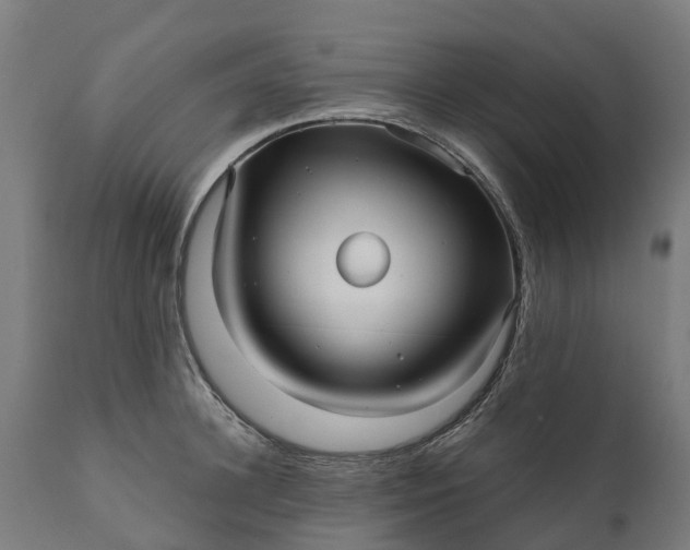 X0000111640948200907311248