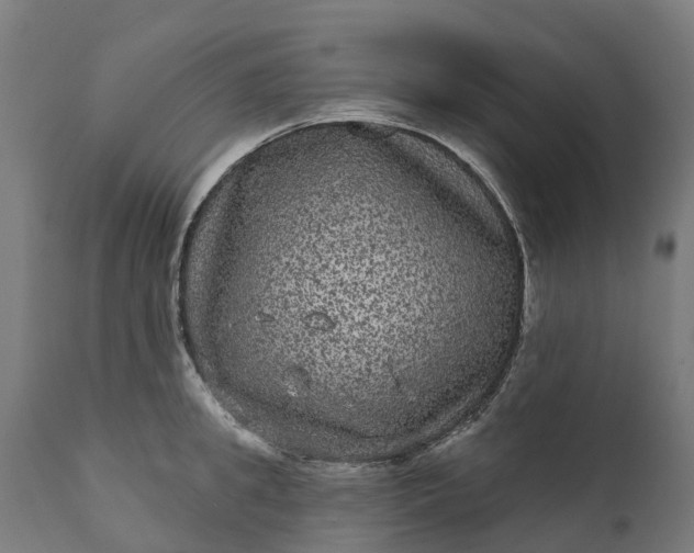 X0000111640949200907311248