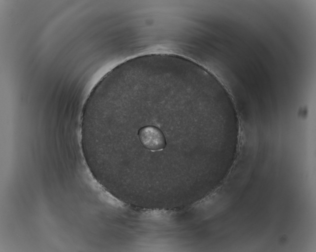 X0000111640950200907311248