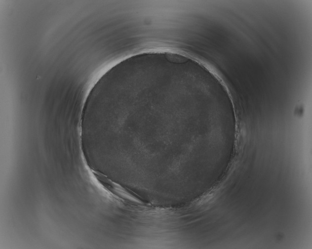 X0000111640951200907311248